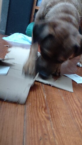 IMG_20251213_222835263