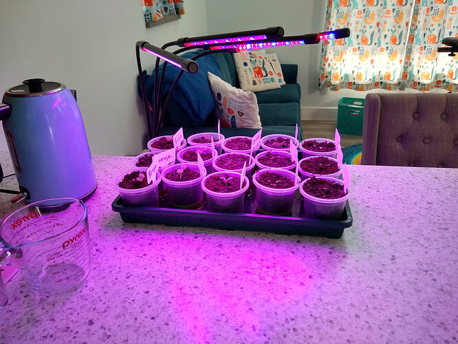 IMG_20260301_094137698_HDR