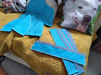 IMG_20240619_122914035