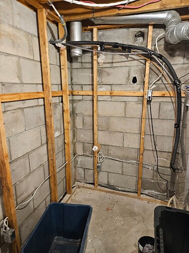 20250503_Basement Reno (1)