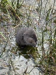 IMG_1610
