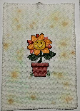 Apparition - Sunflower