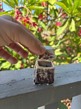 IMG_2284