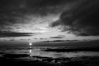 IMG_7236