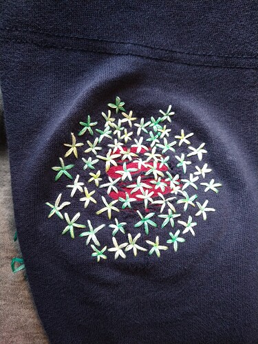 IMG_20220404_130245133