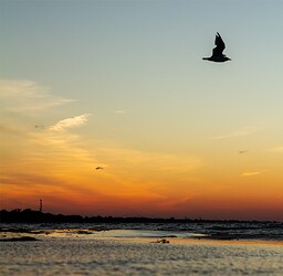 sunset7