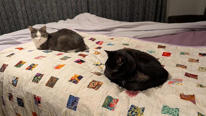 IMG_20251204_193737_787