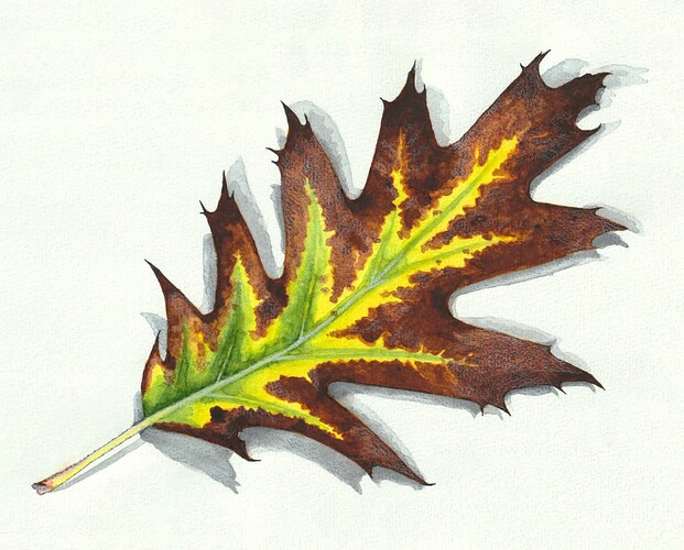 BeaG-AQ-2025-AutumnLeaf-kl