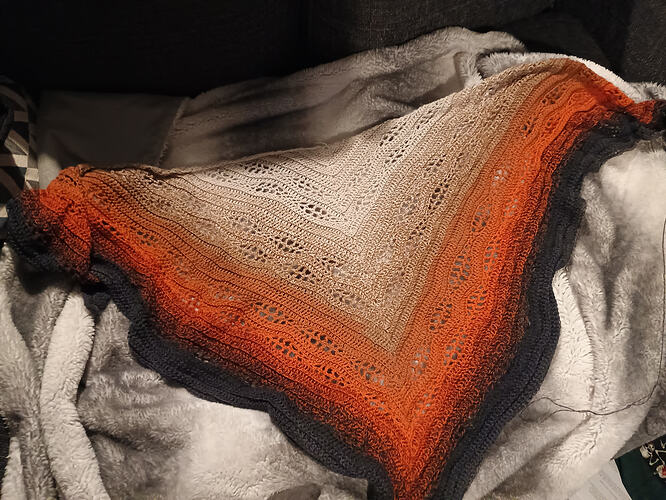 IMG_20260322_183100264