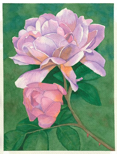 BeaG-AQ-2025-Rose-kl