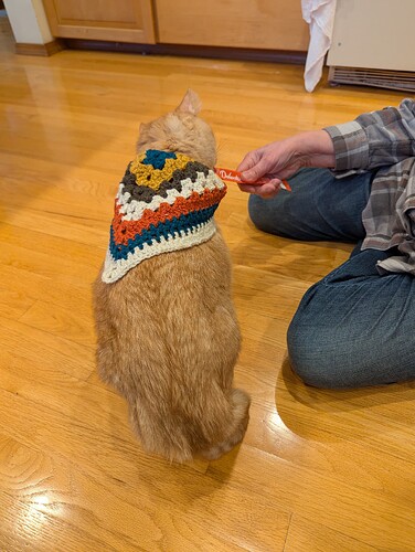 PXL_20260101_000306263