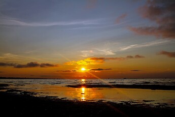 IMG_7217