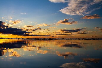 IMG_8981