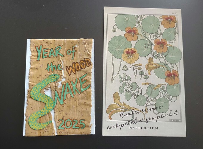 IMG_20250315_163116472_1