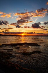 IMG_8720