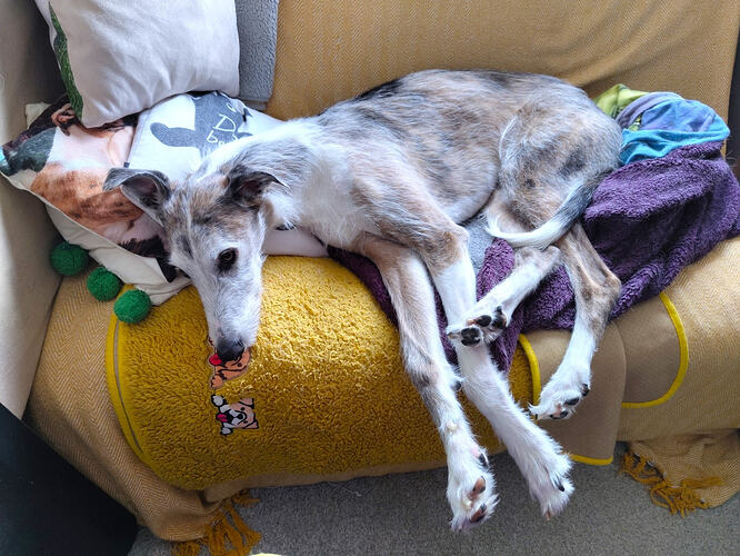 IMG_20260427_135403425