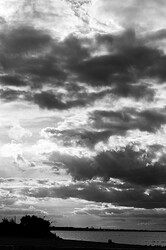IMG_8812