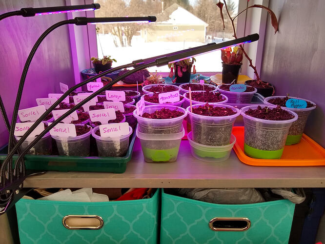 IMG_20260301_094400627_HDR