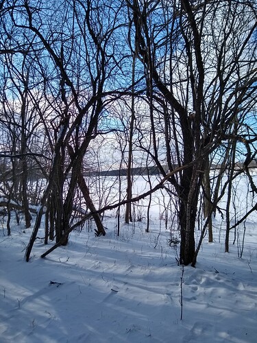 IMG_20260118_121734447_HDR