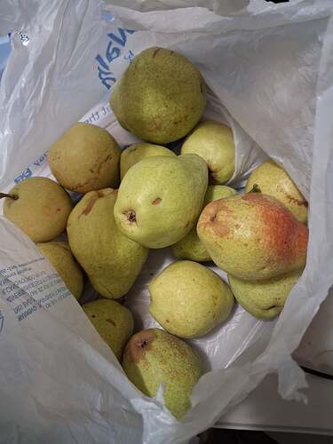 pears