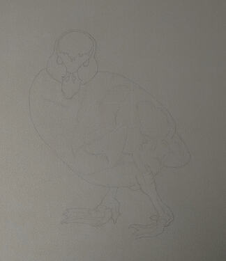 2026-08-Duckling-02-02