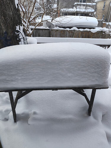 IMG_20260129_114159323_HDR