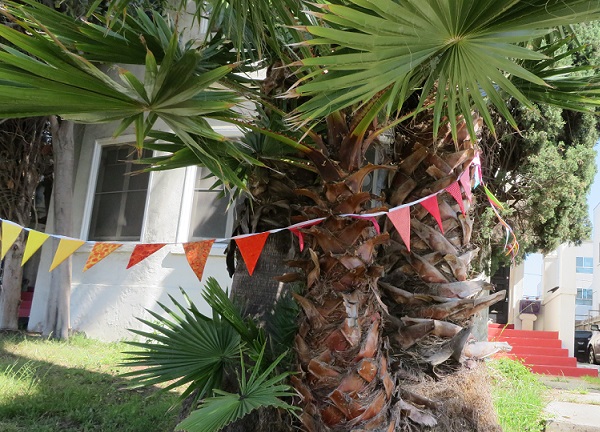 .Bunting 2