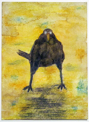 crow