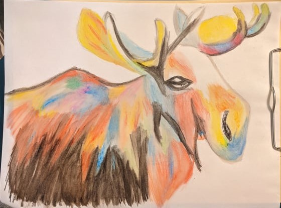 MooseOP