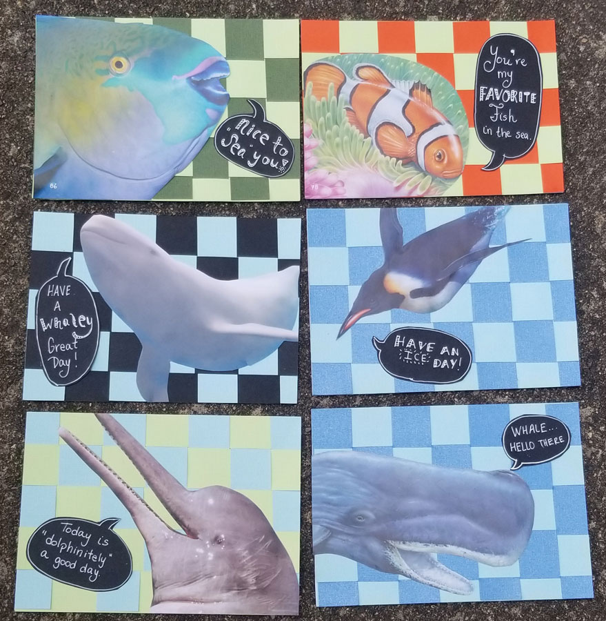 Woven-Ocean-Sassy-Notecards