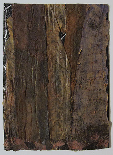 woods